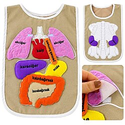 Eğitici Organ Önlüğü (45x37x2 Cm) - Anadolu Toys