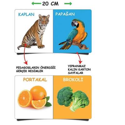 OFB Dıytoy İlk Kütüphanem-İlk Sözcükler 8'Li Mini Kitap Seti - 4