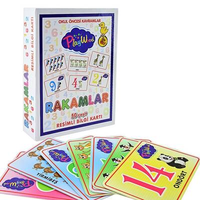 PlayWood Eğitici 50 Çeşit Rakam ve Resimli Bilgi Kartları - 2